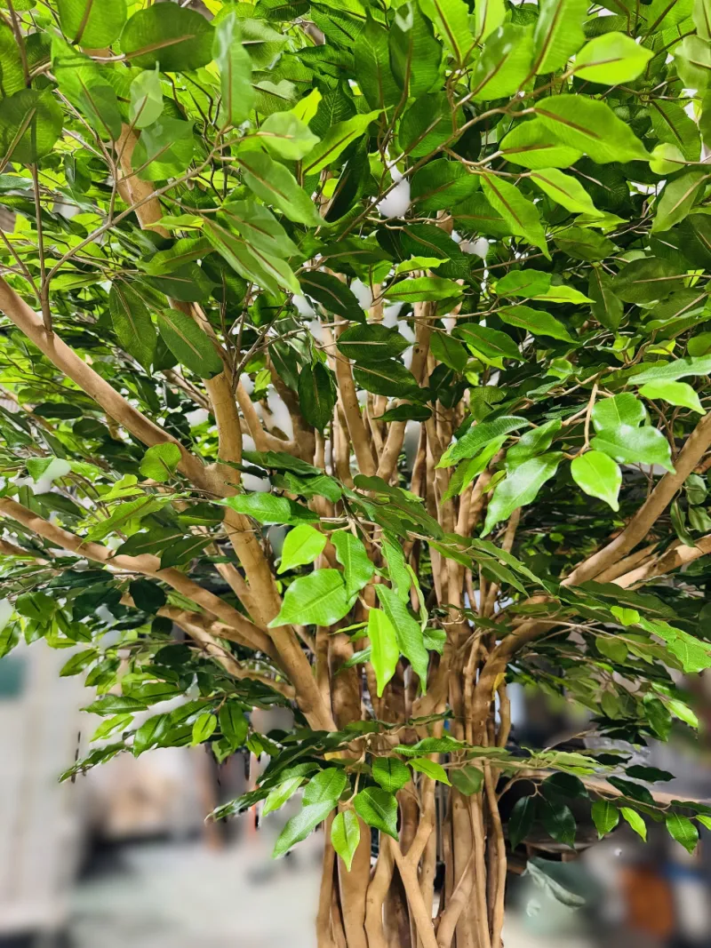 葉を豊かに茂らせた樹木のグリーン装飾